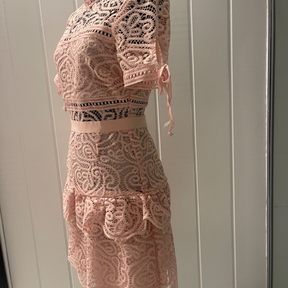 Self-Portrait Pink Lace Dress - Picture 3 of 9
